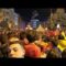 Стотици скопјани ги чекаат фудбалските репрезентативци на плоштадот Македонија